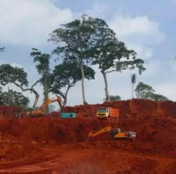 中国在几内亚投资最大铝土矿项目投运